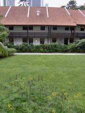 Enlarge photo 7