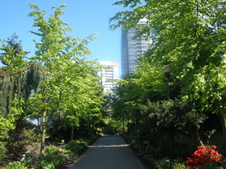 Enlarge photo 13