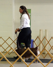 Enlarge photo 31