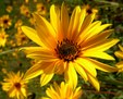 Enlarge photo 59