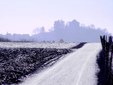 Enlarge photo 62