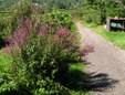 Enlarge photo 69