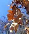 Enlarge photo 66