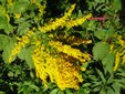Enlarge photo 67