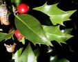 Enlarge photo 53
