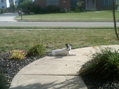 Enlarge photo 32
