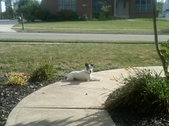 Enlarge photo 34