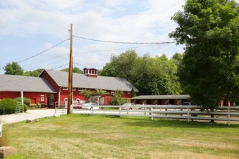 Enlarge photo 3