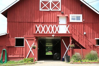 Enlarge photo 17