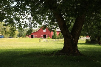 Enlarge photo 25
