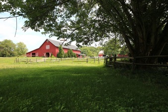 Enlarge photo 27