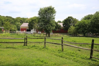 Enlarge photo 29