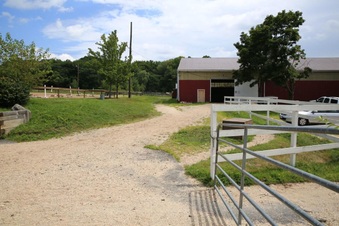 Enlarge photo 34