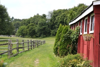 Enlarge photo 35