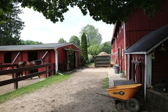 Enlarge photo 42