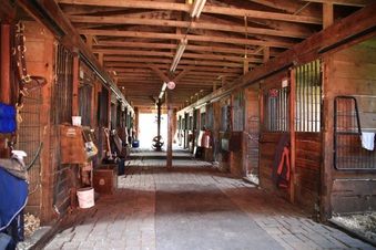 Enlarge photo 46