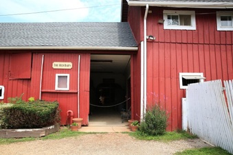 Enlarge photo 49