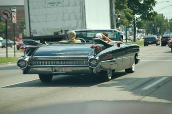 Enlarge photo 37
