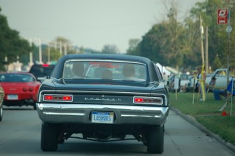 Enlarge photo 76