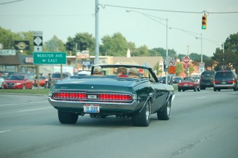 Enlarge photo 77