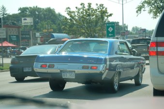 Enlarge photo 195