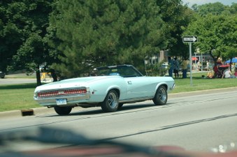 Enlarge photo 254