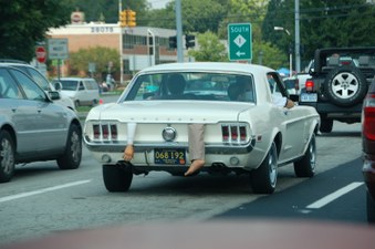 Enlarge photo 260