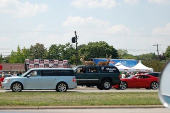 Enlarge photo 317