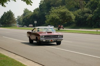 Enlarge photo 428