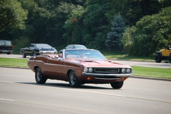 Enlarge photo 448