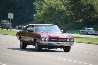 Enlarge photo 485