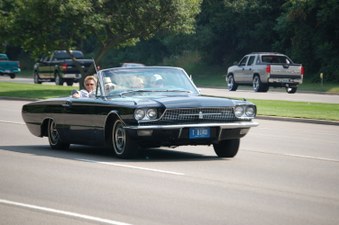 Enlarge photo 554