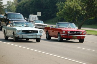 Enlarge photo 592