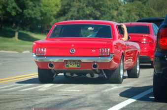 Enlarge photo 212