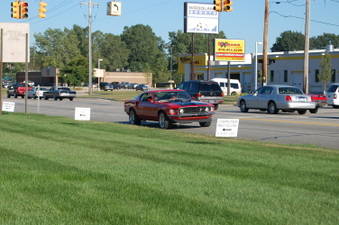 Enlarge photo 265