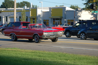 Enlarge photo 382