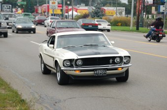 Enlarge photo 204
