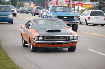 Enlarge photo 235