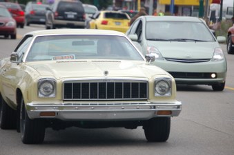 Enlarge photo 257