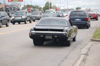 Enlarge photo 278