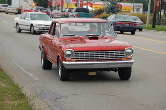 Enlarge photo 279
