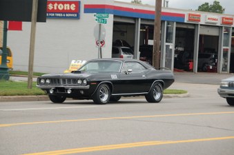Enlarge photo 295