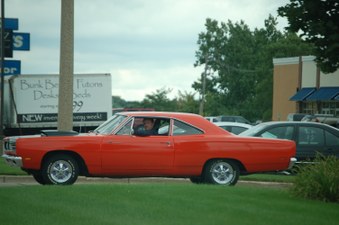 Enlarge photo 319