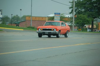 Enlarge photo 352