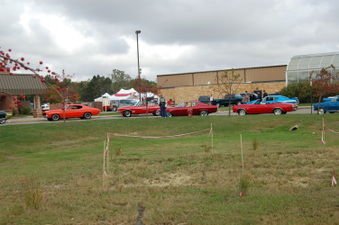Enlarge photo 15