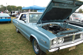 Enlarge photo 237