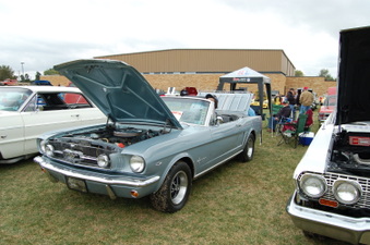 Enlarge photo 256