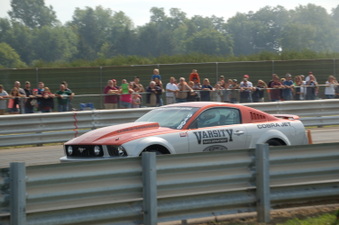 Enlarge photo 51