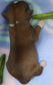 Enlarge photo 17