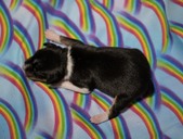 Enlarge photo 8